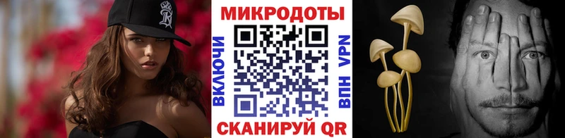 Галлюциногенные грибы Cubensis  кракен ссылки  Пошехонье 